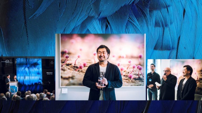 Rückblick auf die Fotoausstellungen des berühmten Fotografen