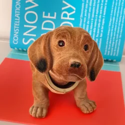 Wackeldackel – Einer unserer Agenturhunde